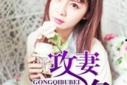 娱乐吃瓜酱妻子小说,妻子背后的秘密风云